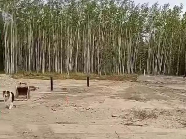 House for sale in Kenai