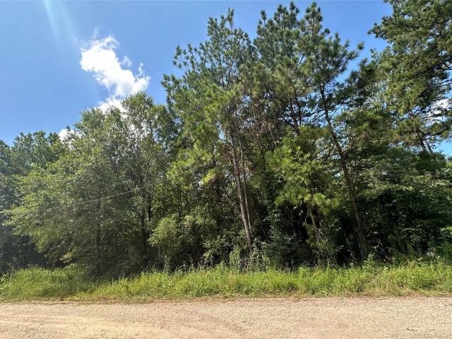 Land for sale in Polk, Texas