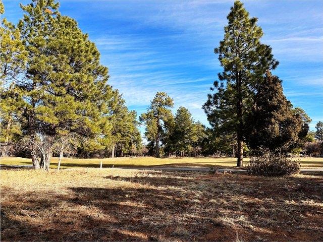 Land for sale in Ridgway, Colorado