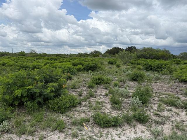 Land for sale in Three Rivers, Texas