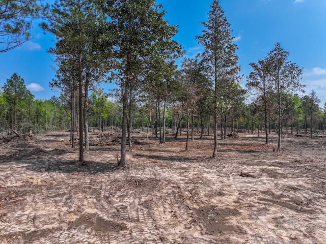 Land for sale in Liberty, Texas