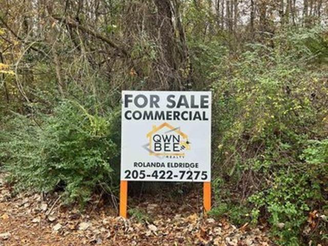 Land for sale in Alabama