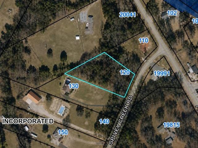 Land for sale in Landrum, South Carolina