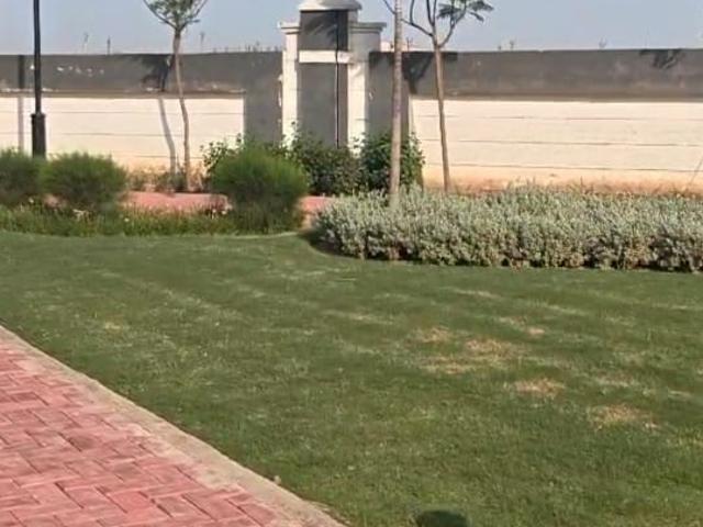 Land for sale in Hariana