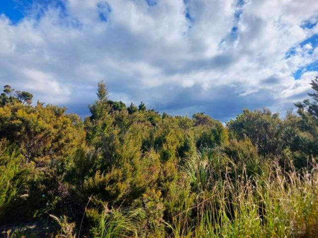 Land for sale in Fairburn, Northland