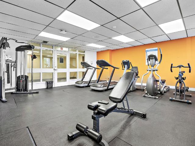 Apartment for rent in Toronto, Ontario