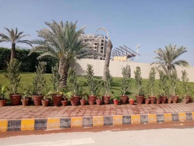 Land for sale in North Waziristan, Federally Administered Tribal Areas fata