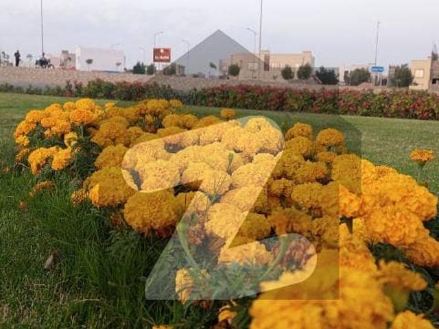 Property for sale in North Waziristan, Federally Administered Tribal Areas fata