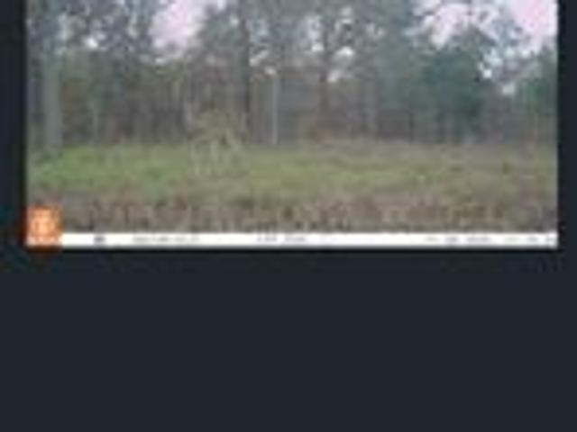 Land for sale in Wewoka, Oklahoma