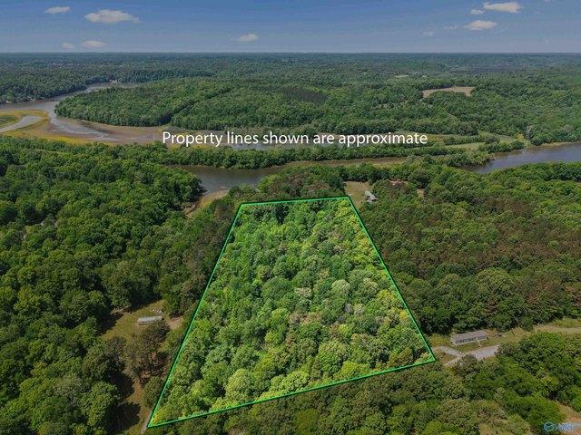 Land for sale in Elkmont, Alabama