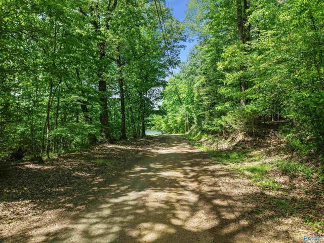Land for sale in Elkmont, Alabama