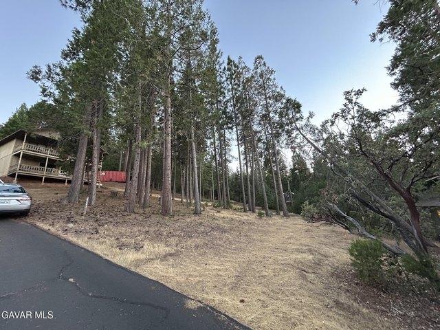 Land for sale in Groveland, California