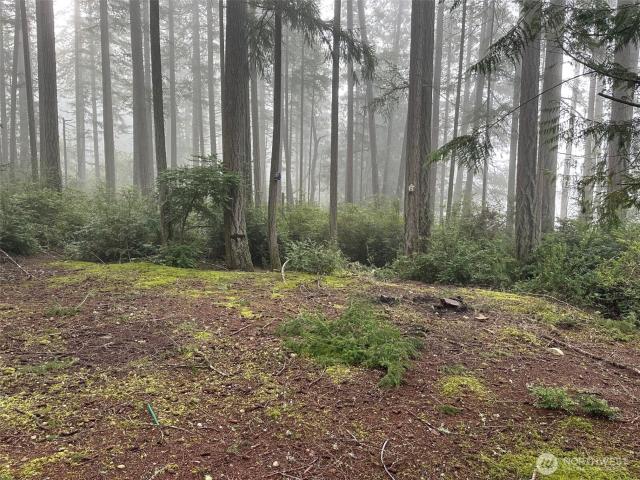 Land for sale in Anderson Island Land for sale in Anderson Island