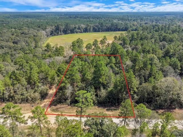Land for sale in Willis, Montgomery County