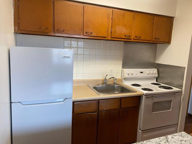 Apartment for rent in Hopkins