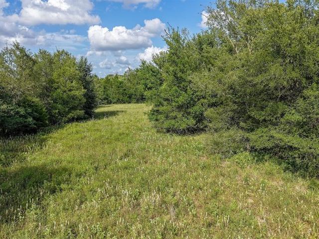 Land for sale in Milam, Texas