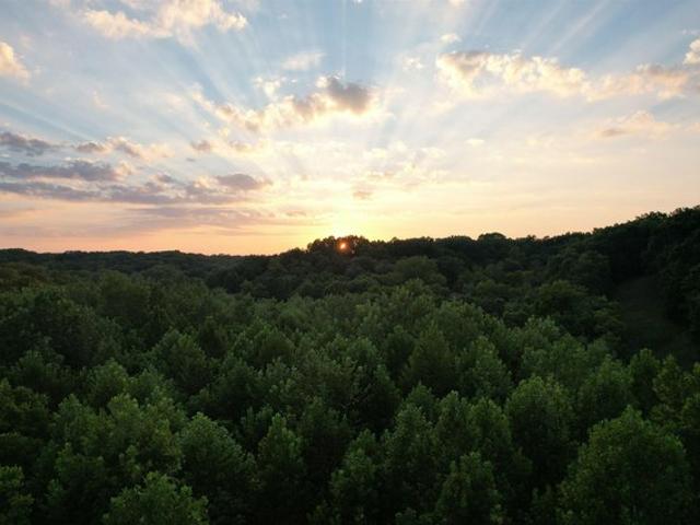 Land for sale in Browning, Illinois