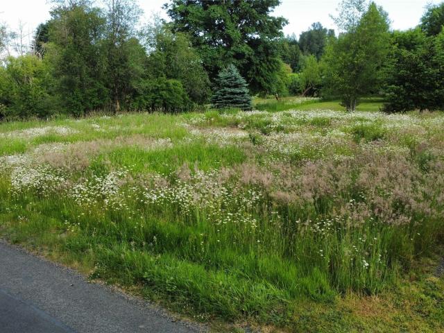Land for sale in Vader, Washington