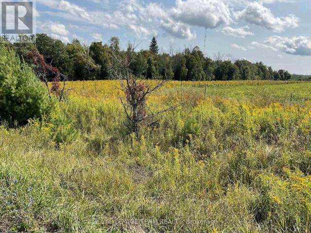 Land for sale in Mississippi Mills, Ontario
