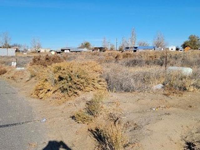 Land for sale in Fallon, Nevada