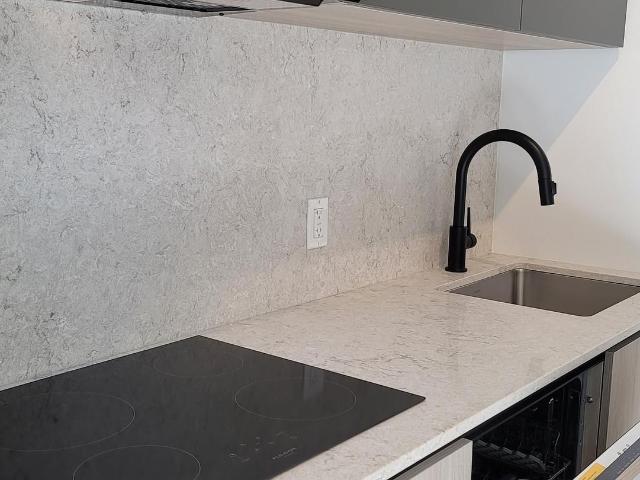 Condo for sale in Spadina—Fort York, Toronto