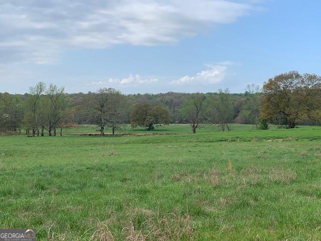 Land for sale in Danielsville, Georgia