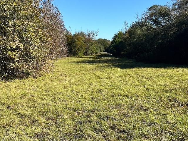 Land for sale in Leon, Texas