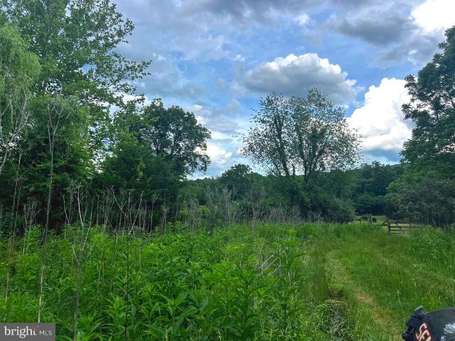 Farm for sale in Hardy, West Virginia