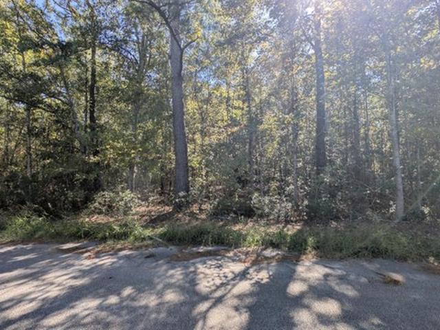 Land for sale in Summerton, Clarendon County