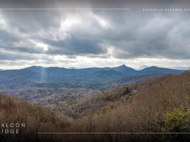 Land for sale in Transylvania, North Carolina