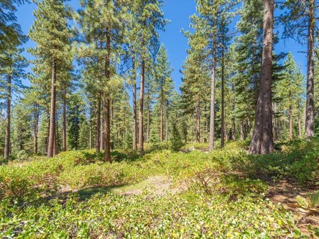 Land for sale in Truckee, California