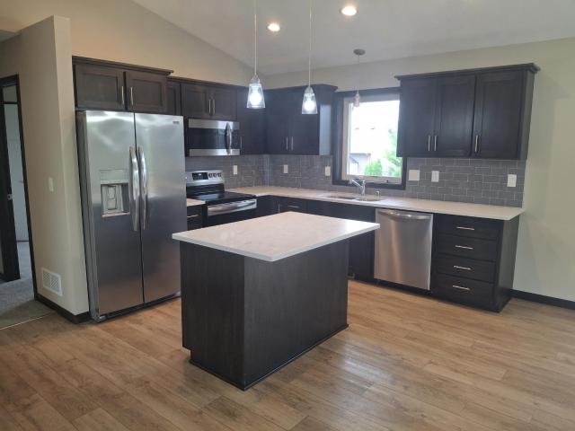 House for sale in New Prague, Le Sueur County