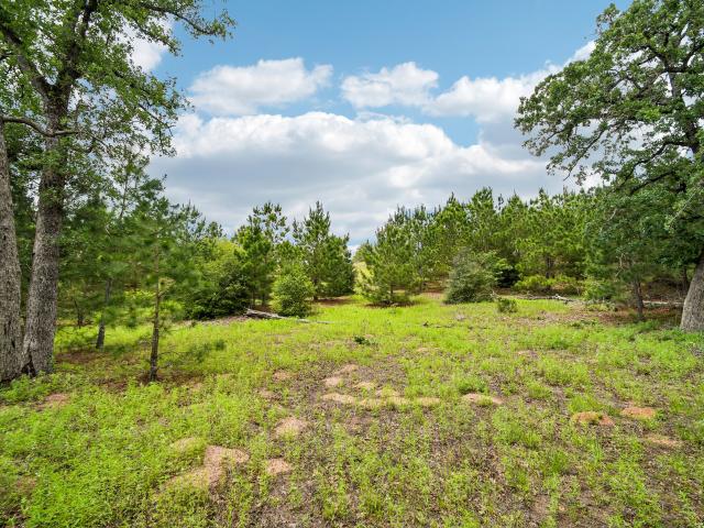 Land for sale in Texas