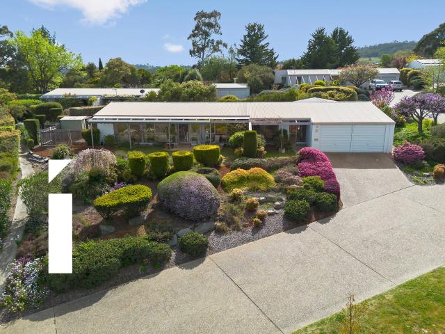Apartment for rent in Mawson, District of Woden Valley