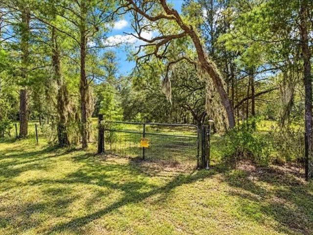 Land for sale in Bronson, Levy County