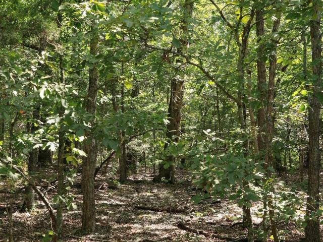 Land for sale in Horseshoe Bend
