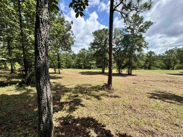 Land for sale in Andalusia, Alabama