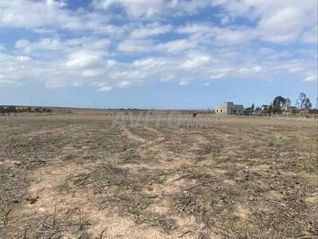 Propriété vente à Benslimane بن سليمان, Province de Benslimane إقليم بن سليمان