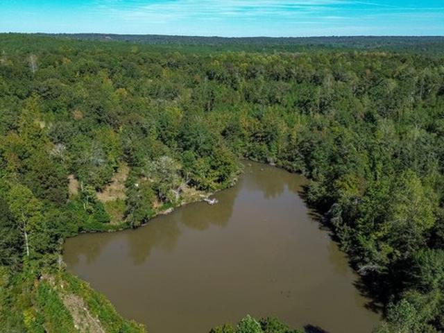 Land for sale in Richland, Stewart County