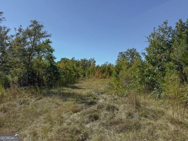Land for sale in Richland, Stewart County