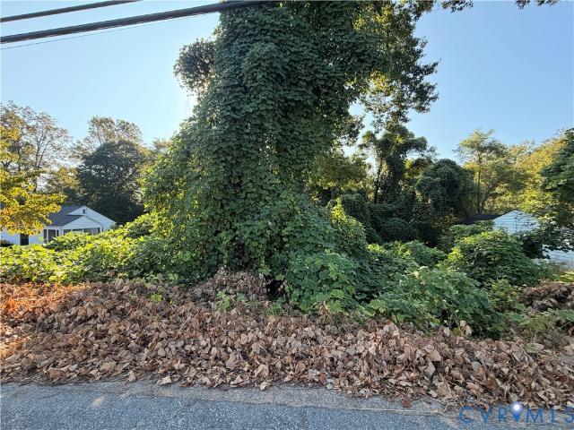 Land for sale in Martinsville, Henry County