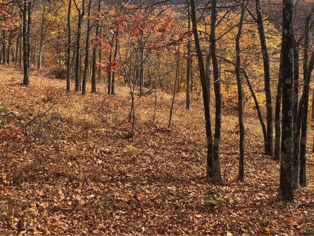 Property for sale in Dingmans Ferry, Pennsylvania