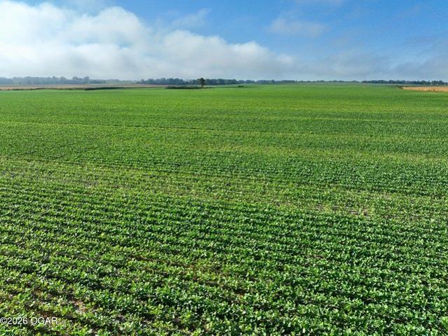 Land for sale in Barton, Missouri