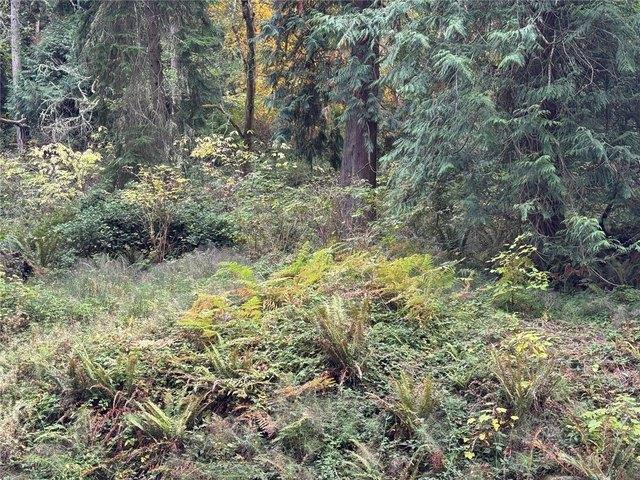 Land for sale in Vashon, King County