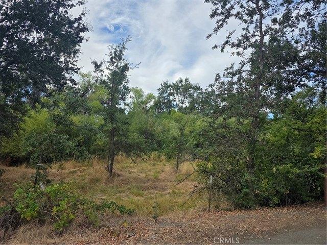 Land for sale in Lakeport, Lake County