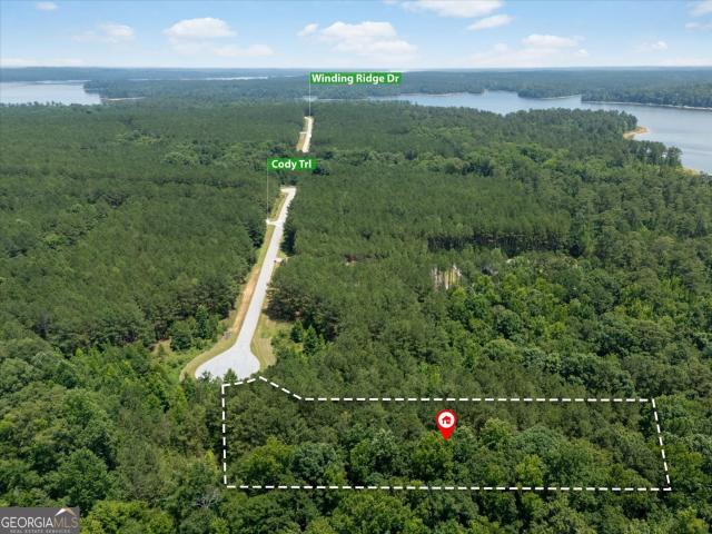 Land for sale in Tignall, Georgia