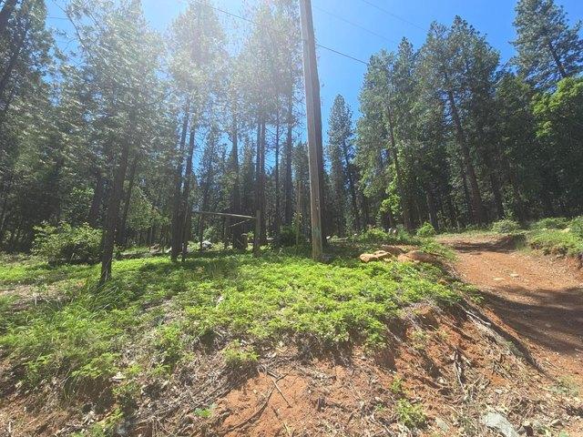 Land for sale in Nevada City, Nevada County