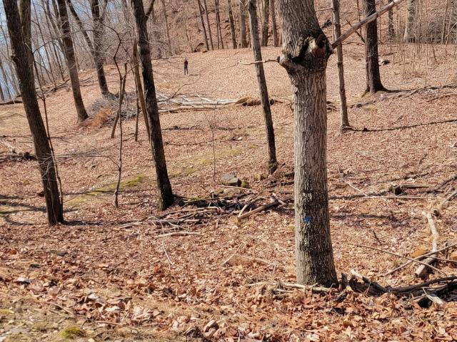 Land for sale in Tennessee