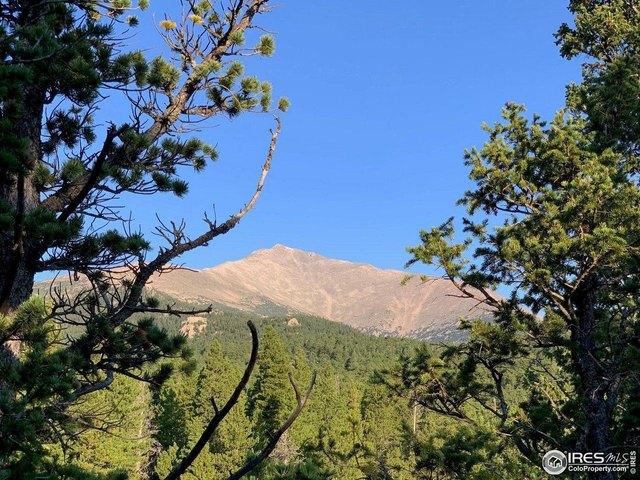 Land for sale in Allenspark, Colorado