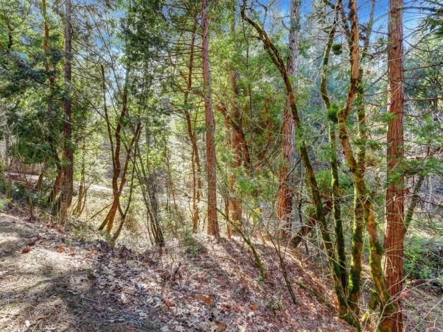 Land for sale in Grass Valley, California